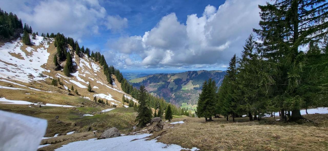 Fewo Allgaeuliebe Mit Wlan Oberstaufen Steibis Exterior foto