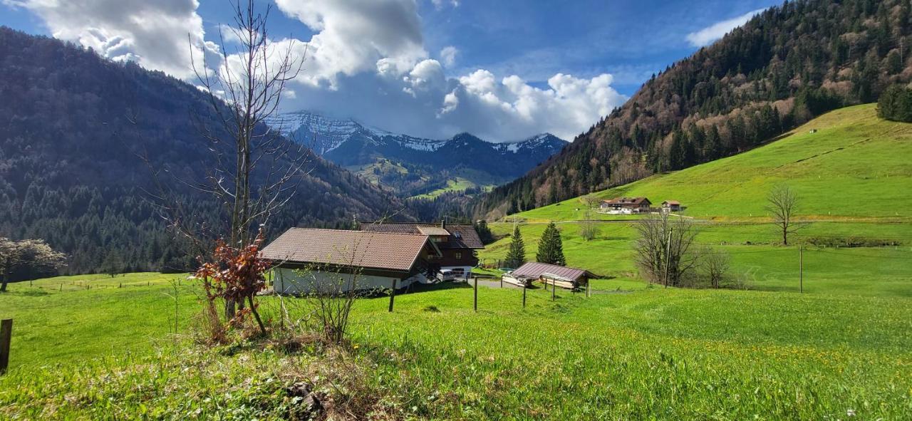 Fewo Allgaeuliebe Mit Wlan Oberstaufen Steibis Exterior foto